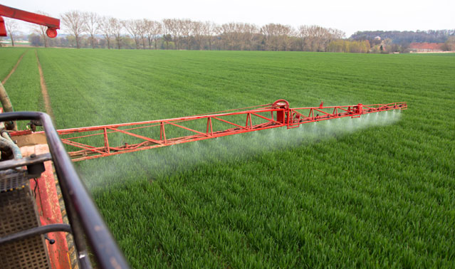 agriculture
